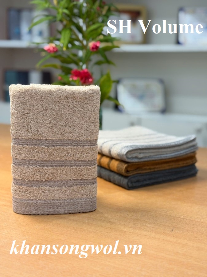 sh-volume-28x42cm